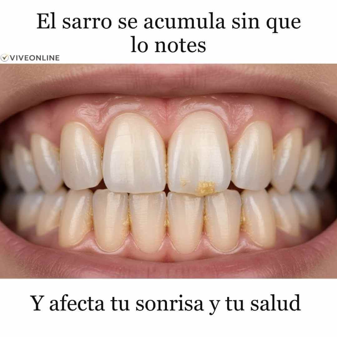 Encabezado