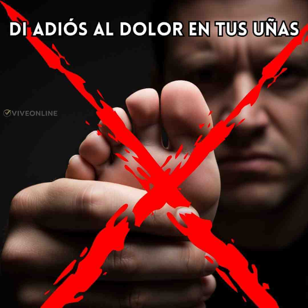 Encabezado