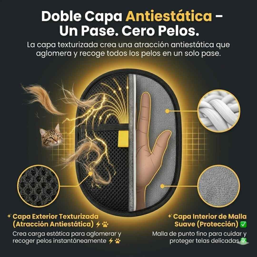Encabezado