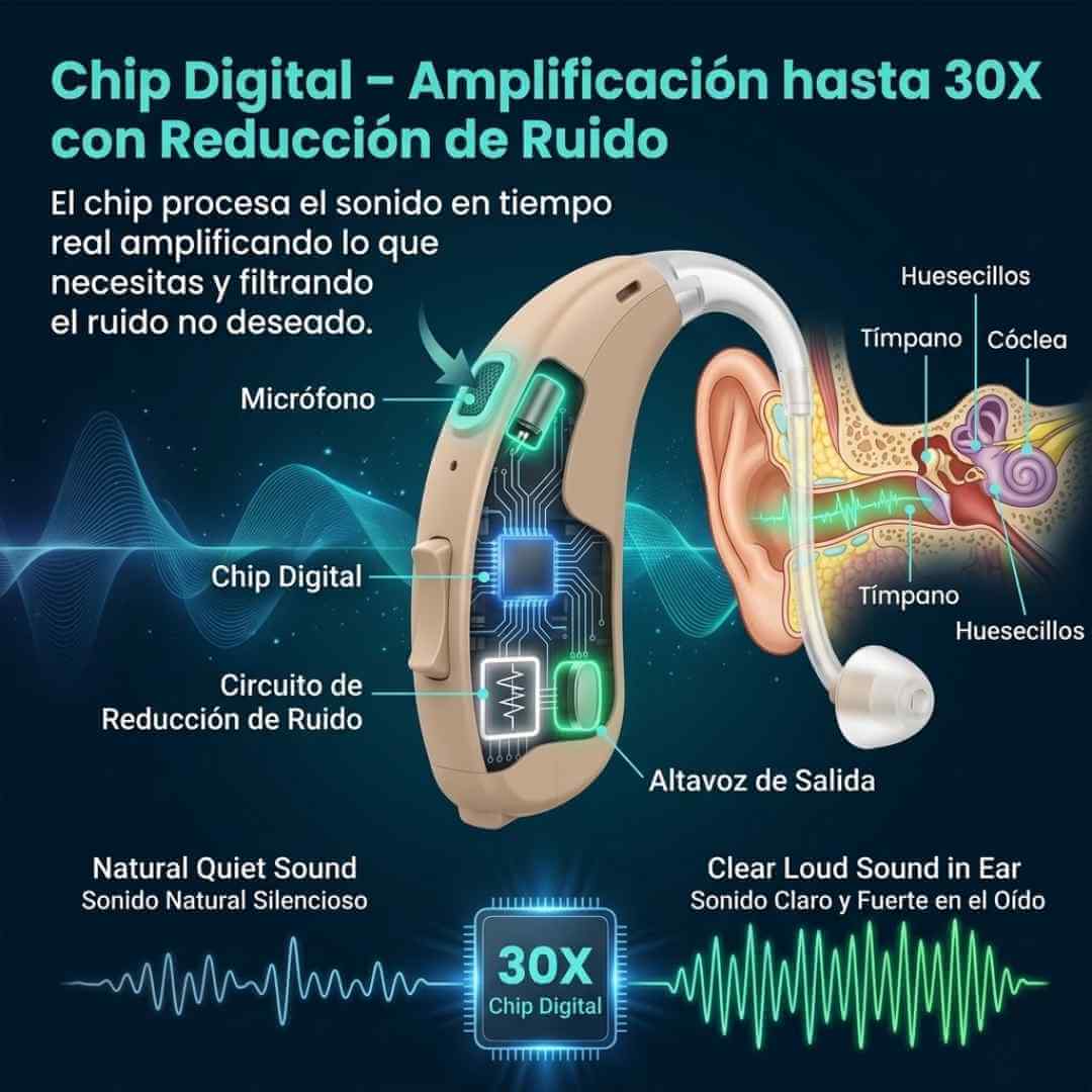 Encabezado