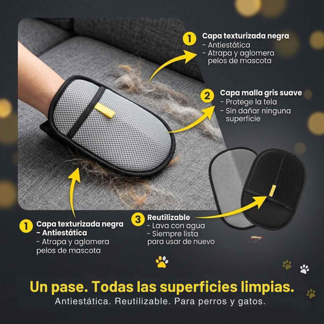 Encabezado