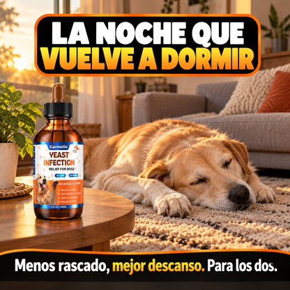 La noche que vuelve a dormir