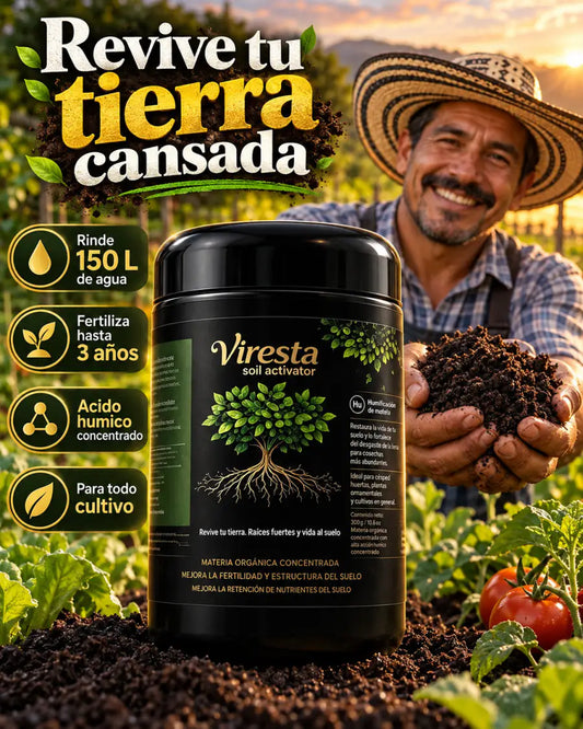 01-portada